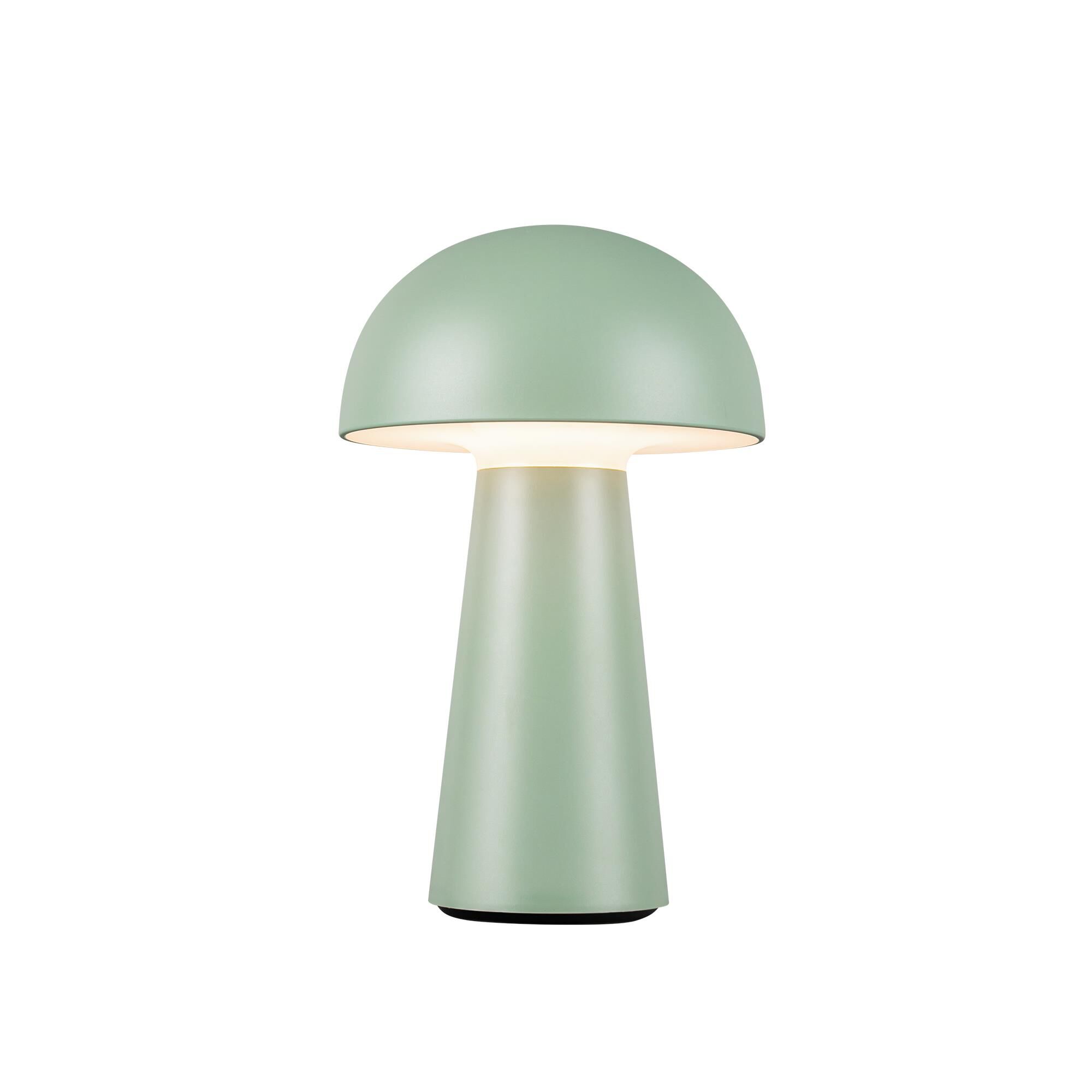 Shown in Sage Green finish and Frosted Acrylic Lens glass