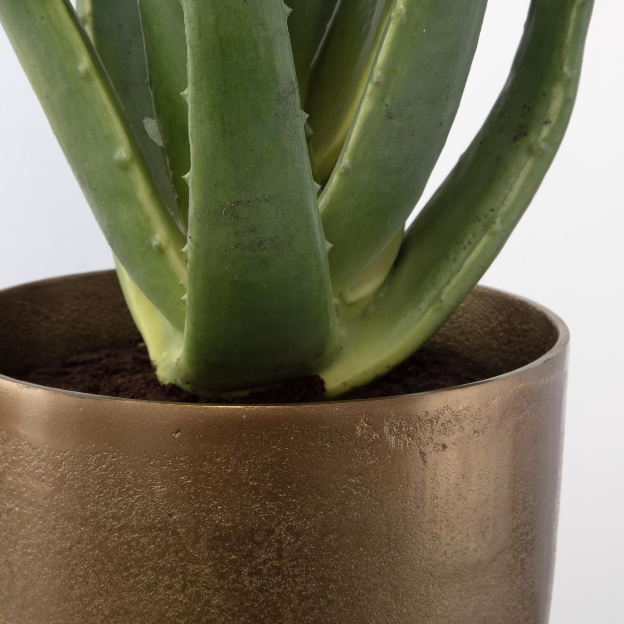 Shown in Accent Your Space With This Life-Like Aloe Plant, Featuring A Contemporary Antique Brass Pot Nested  finish