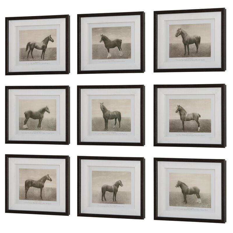 Grace Feyock Equine Dynasty Print by Uttermost