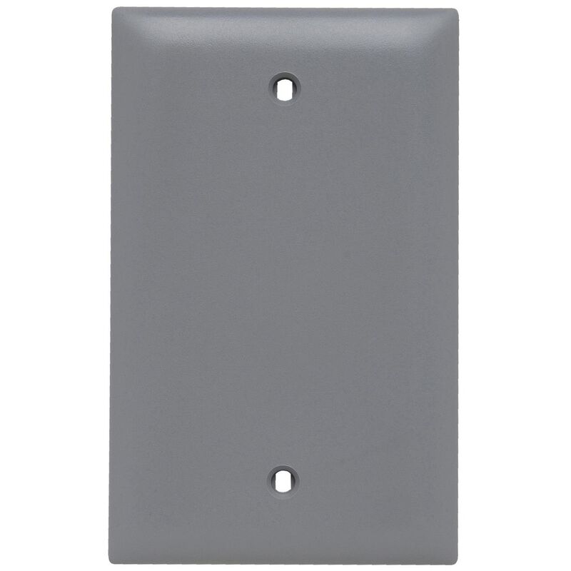 Blank Plates Wall Plate by Legrand