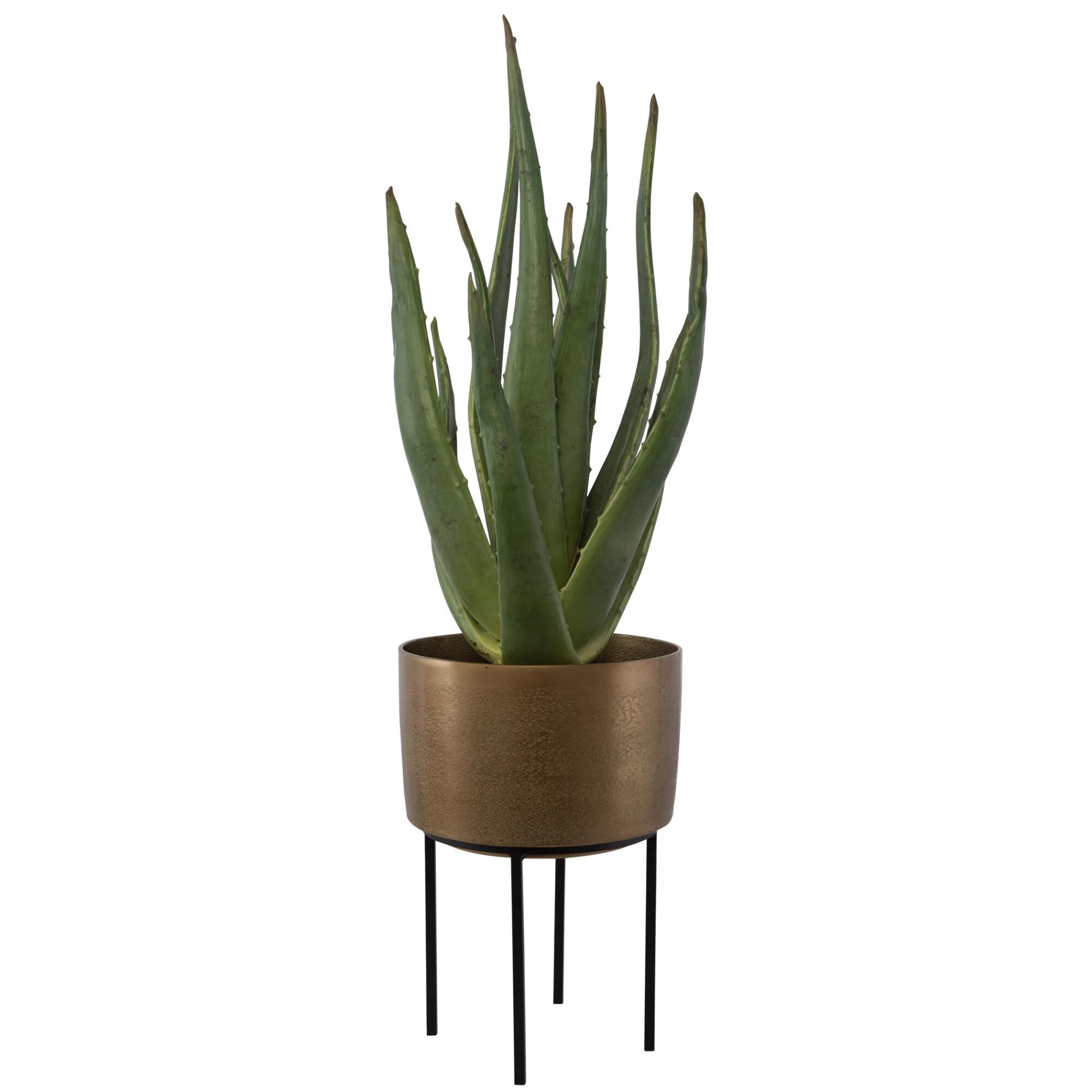 Shown in Accent Your Space With This Life-Like Aloe Plant, Featuring A Contemporary Antique Brass Pot Nested  finish