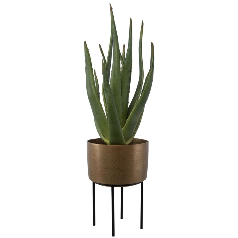 Uttermost Arabia Aloe Planter Botanical by Uttermost