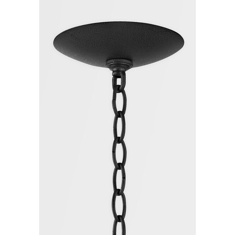 Bodhi 26 Inch Chandelier by Troy Lighting