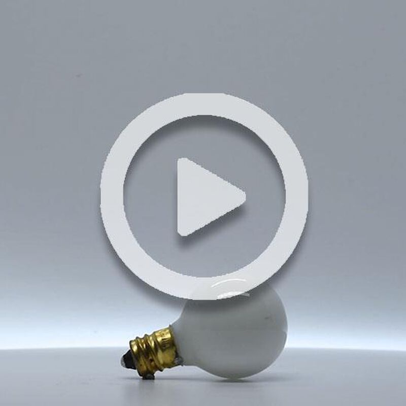 10 Watt G9 Incandescent Light Bulb by Bulbrite