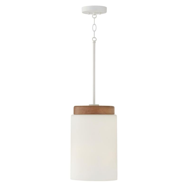 Liam 9 Inch Large Pendant by Capital Lighting Fixture Company