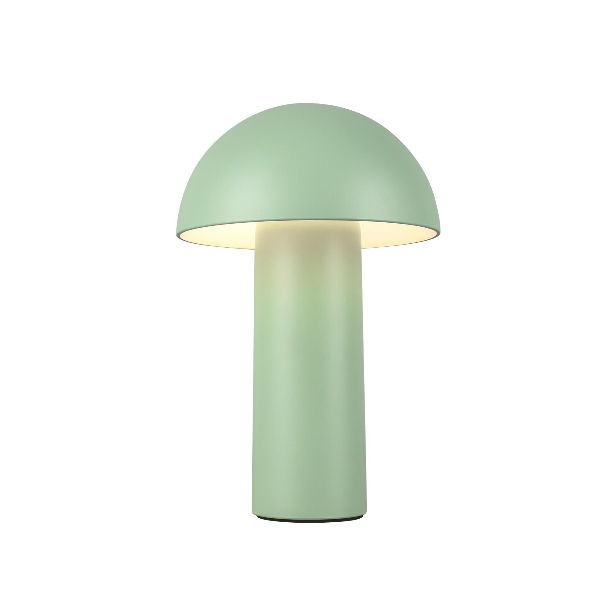 Shown in Sage Green finish and Frosted Acrylic Lens glass