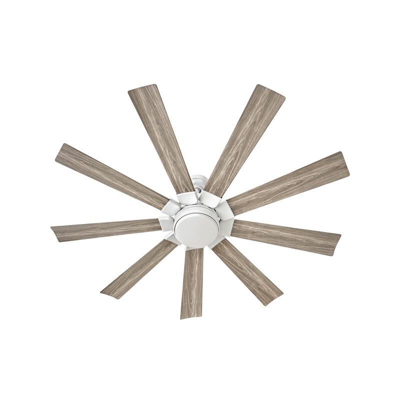 Turbine Ceiling Fan by Hinkley Fans