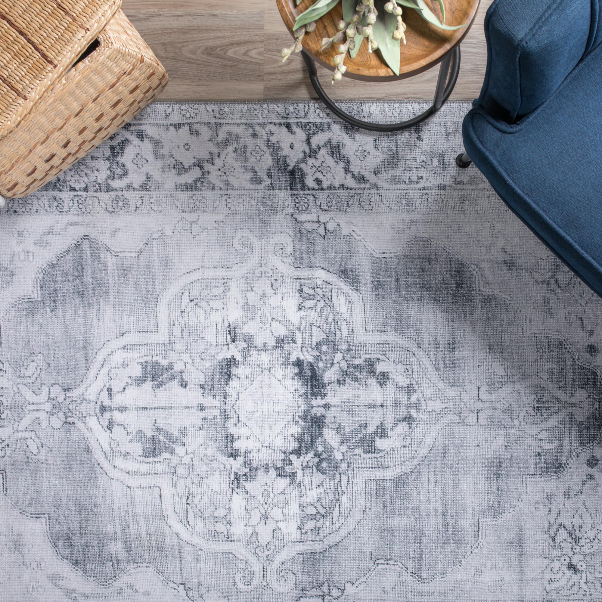 Amanti AM1 Area Rug,