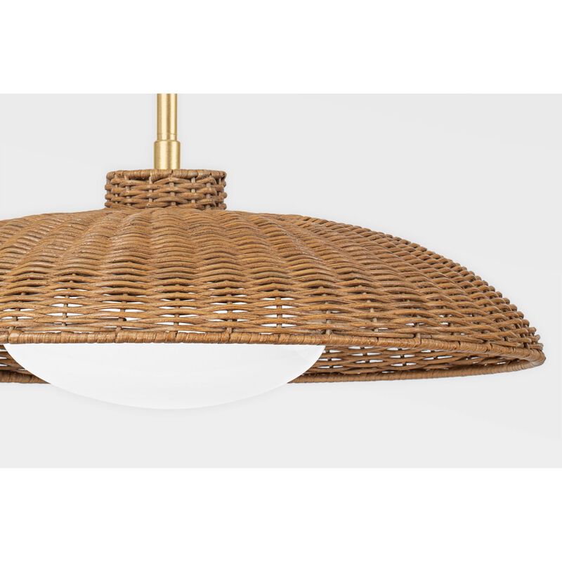 Delano 22.5 Inch Large Pendant by Hudson Valley Lighting