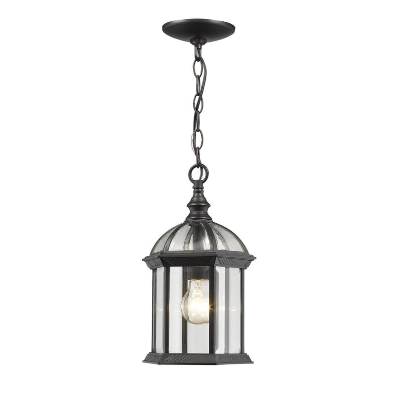 Z-Lite Annex 13 Inch Tall Outdoor Hanging Lantern