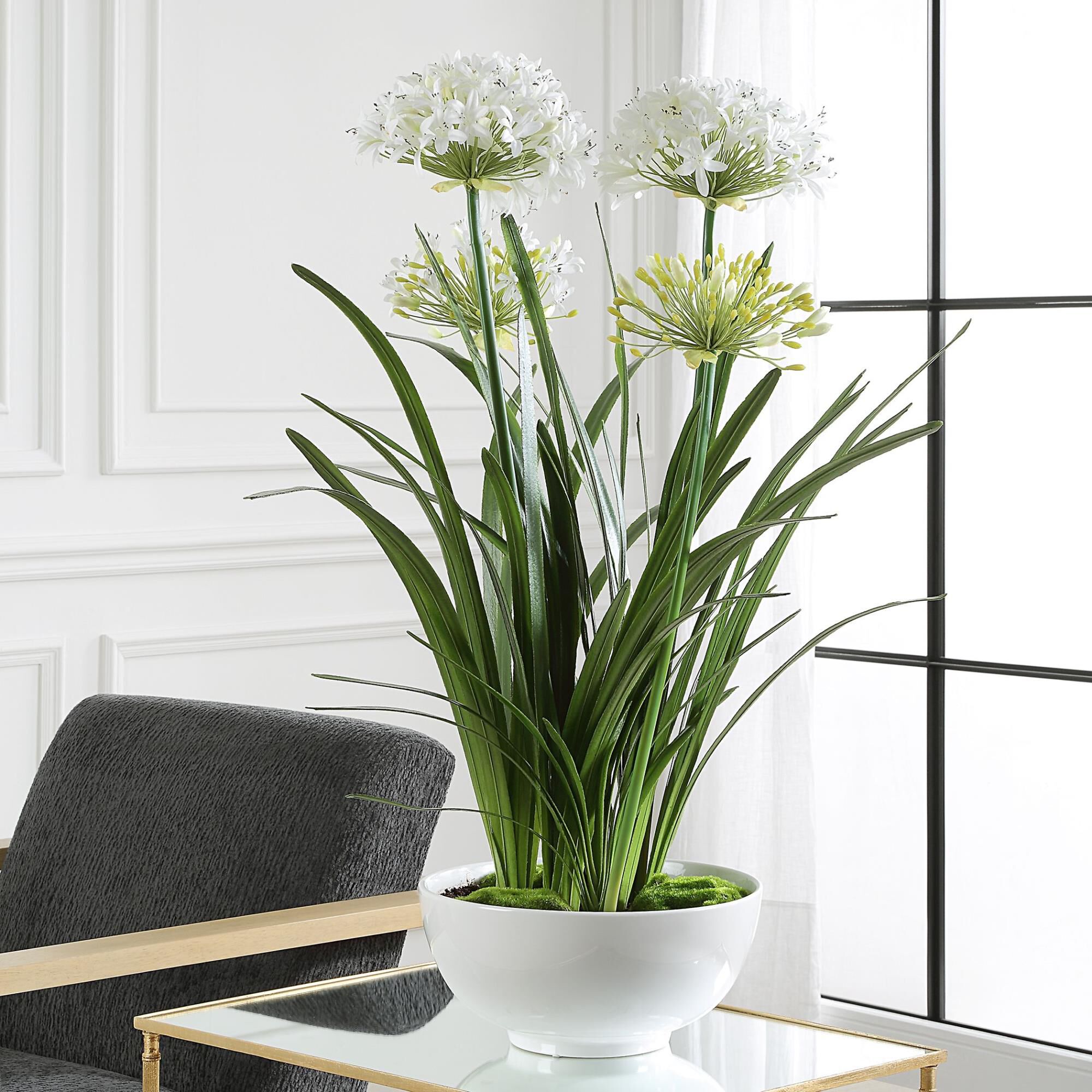 Shown in A Grand Statement And Symbol Of Purity And Beauty, This Lifelike White Agapanthus Reaches Almost 40