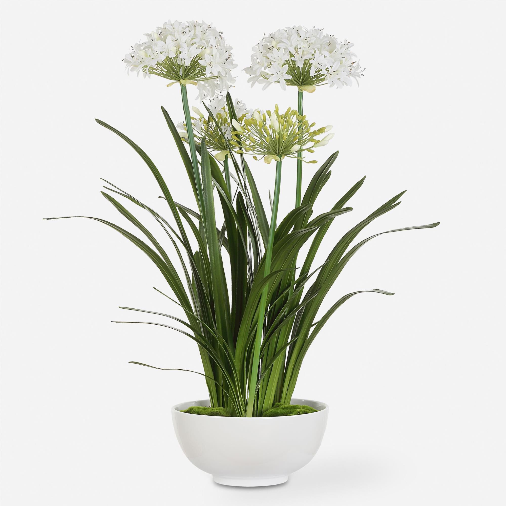 Shown in A Grand Statement And Symbol Of Purity And Beauty, This Lifelike White Agapanthus Reaches Almost 40