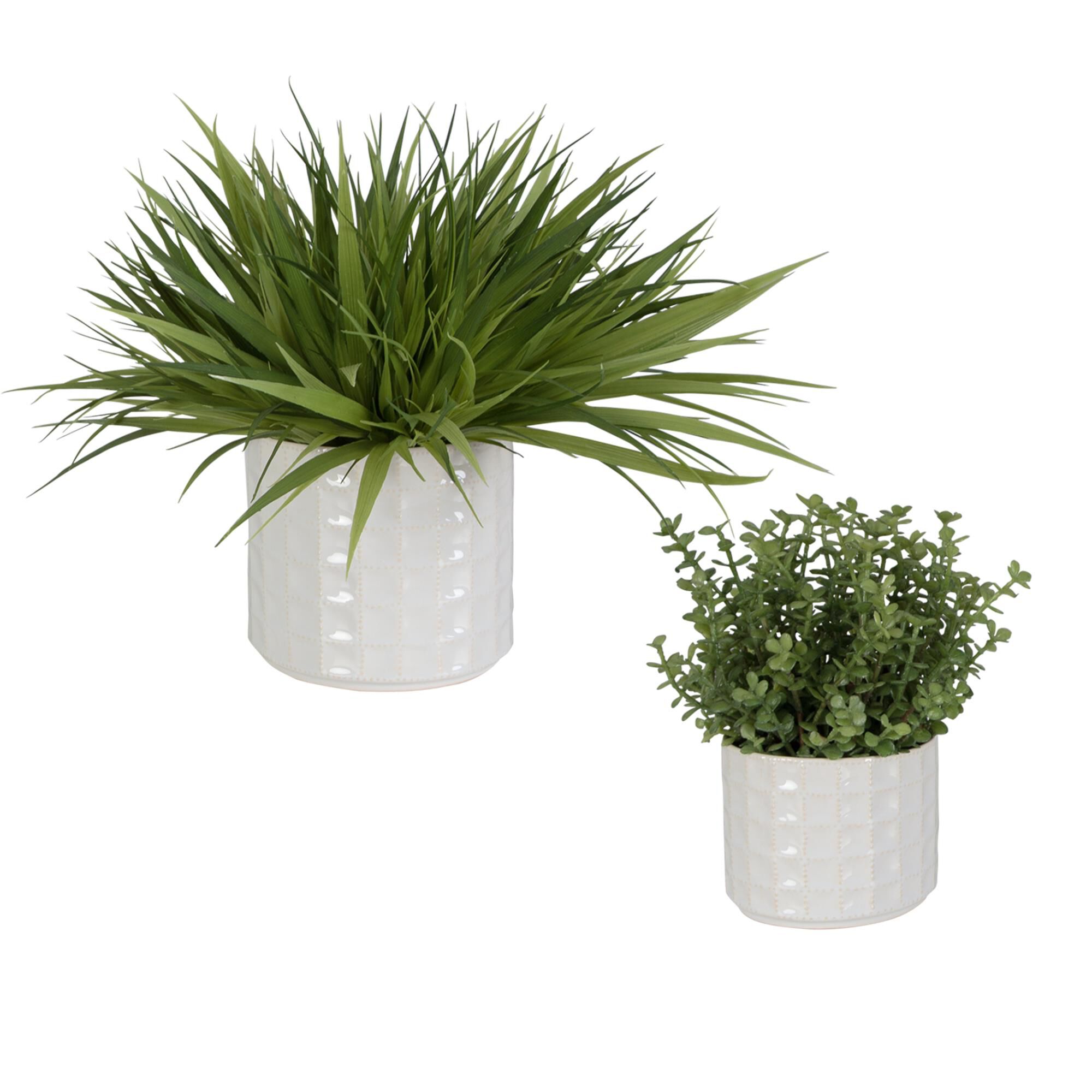 Shown in Add Interest To Any Space With This Lush Duo Of Variegated Grass And Sedum, Potted In Textured Ceram finish