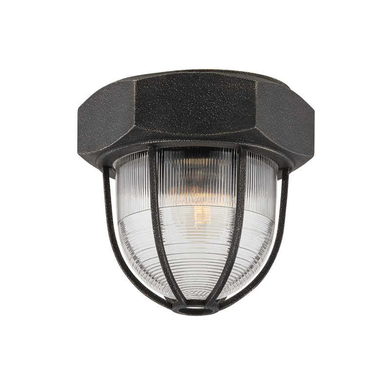 Acme 8.5 Inch Flush Mount by Troy Lighting