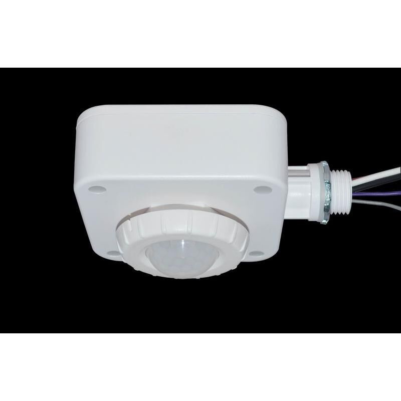 Motion Sensors by Westgate