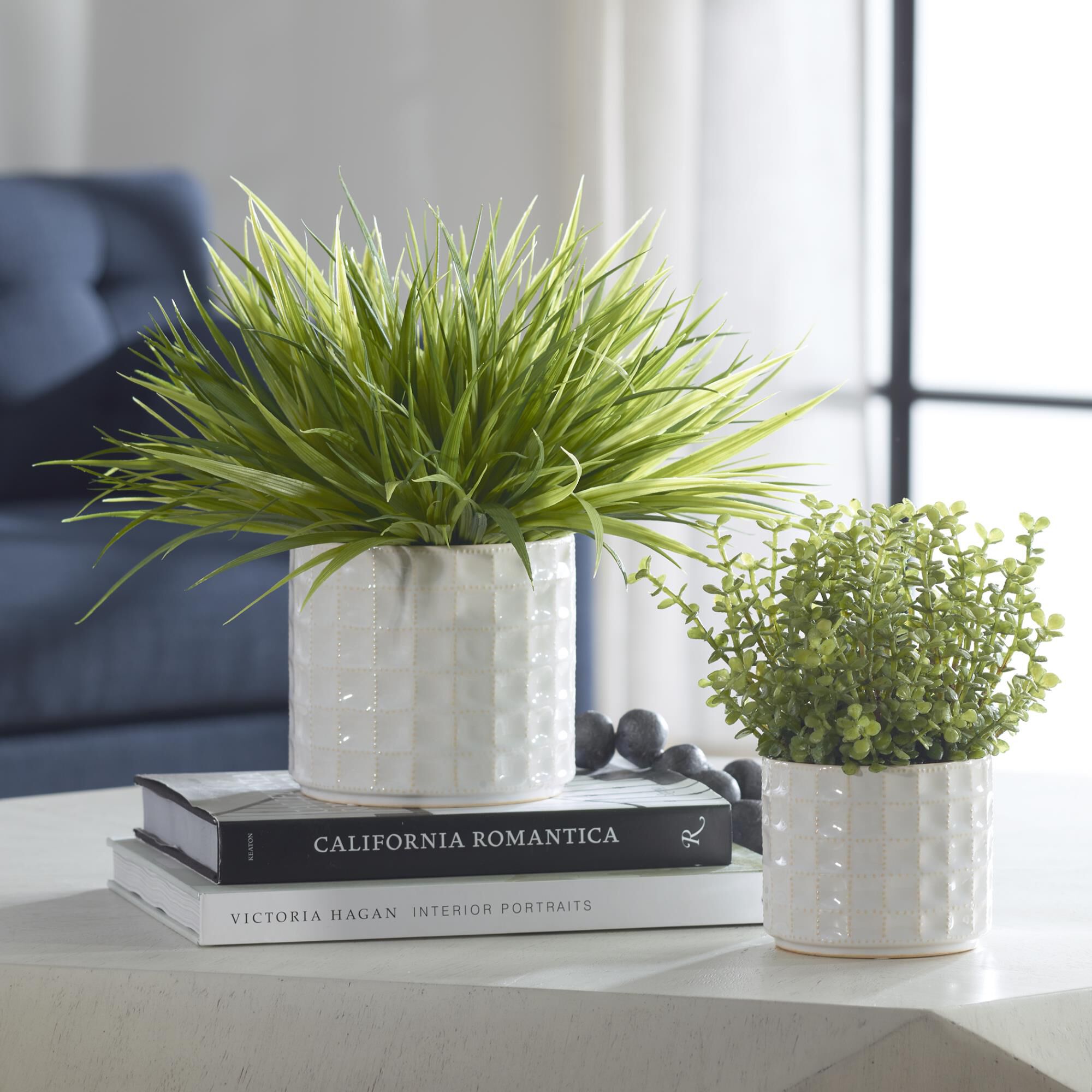 Shown in Add Interest To Any Space With This Lush Duo Of Variegated Grass And Sedum, Potted In Textured Ceram finish