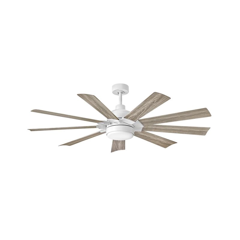 Turbine Ceiling Fan by Hinkley Fans