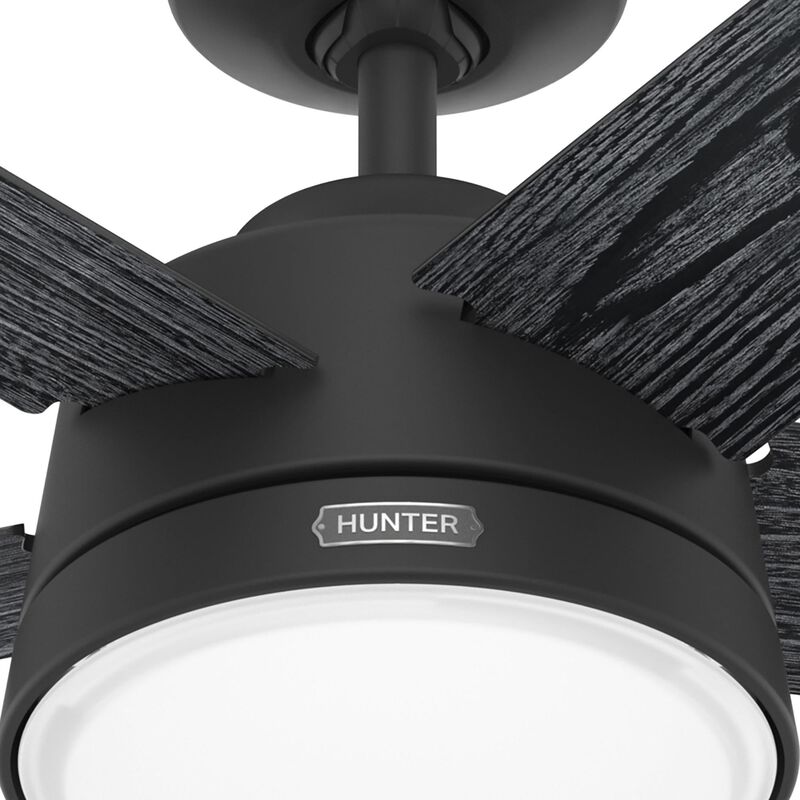 Lykke 52 Inch Ceiling Fan with Light Kit by Hunter Fan