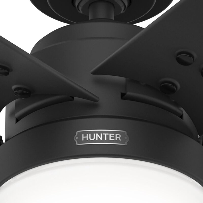 Sea Point 52 Inch Ceiling Fan with Light Kit by Hunter Fan