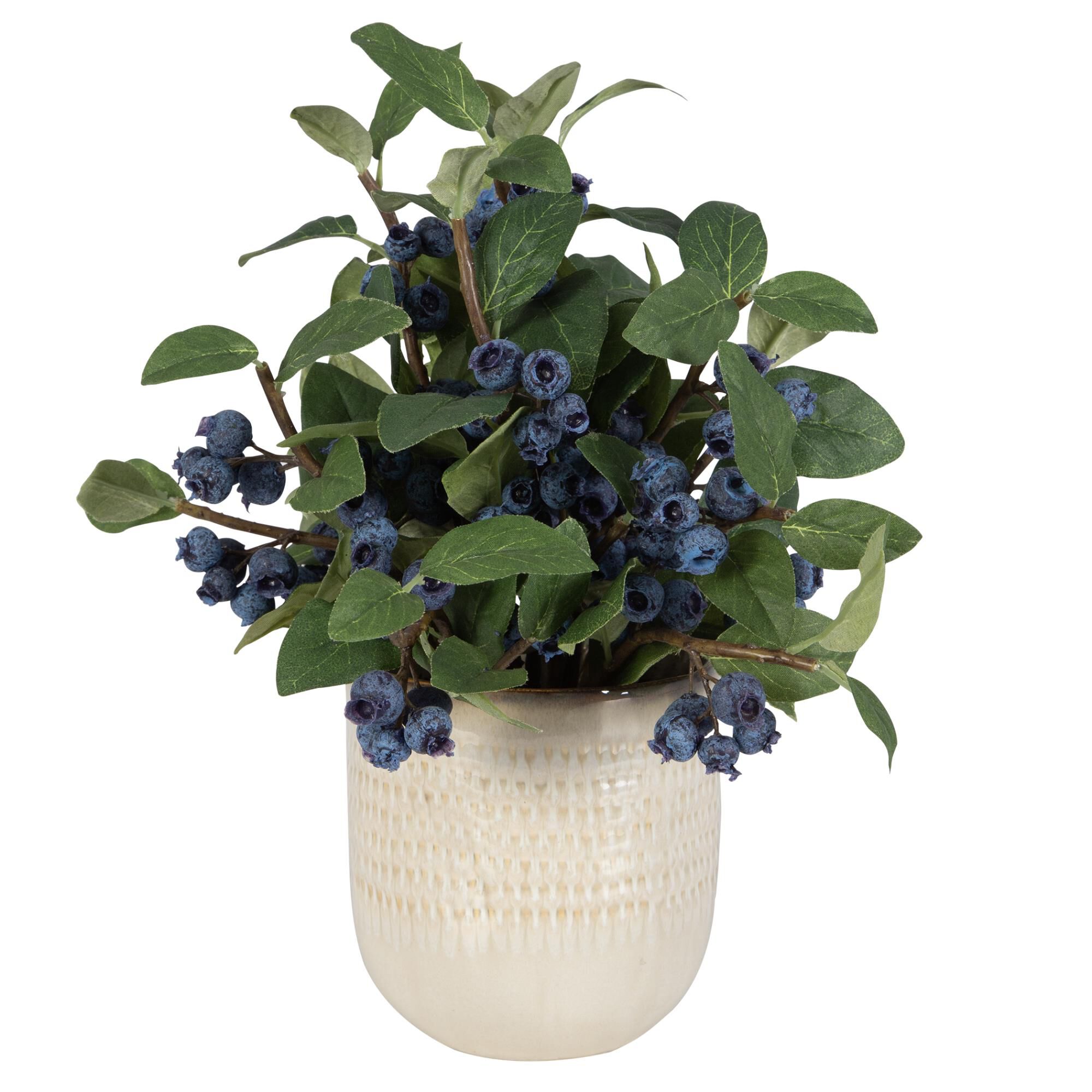 Shown in Giving The Essence Of Freshly Cut, This Blueberry Accent Is The Perfect Accent For Any Room. Placed  finish