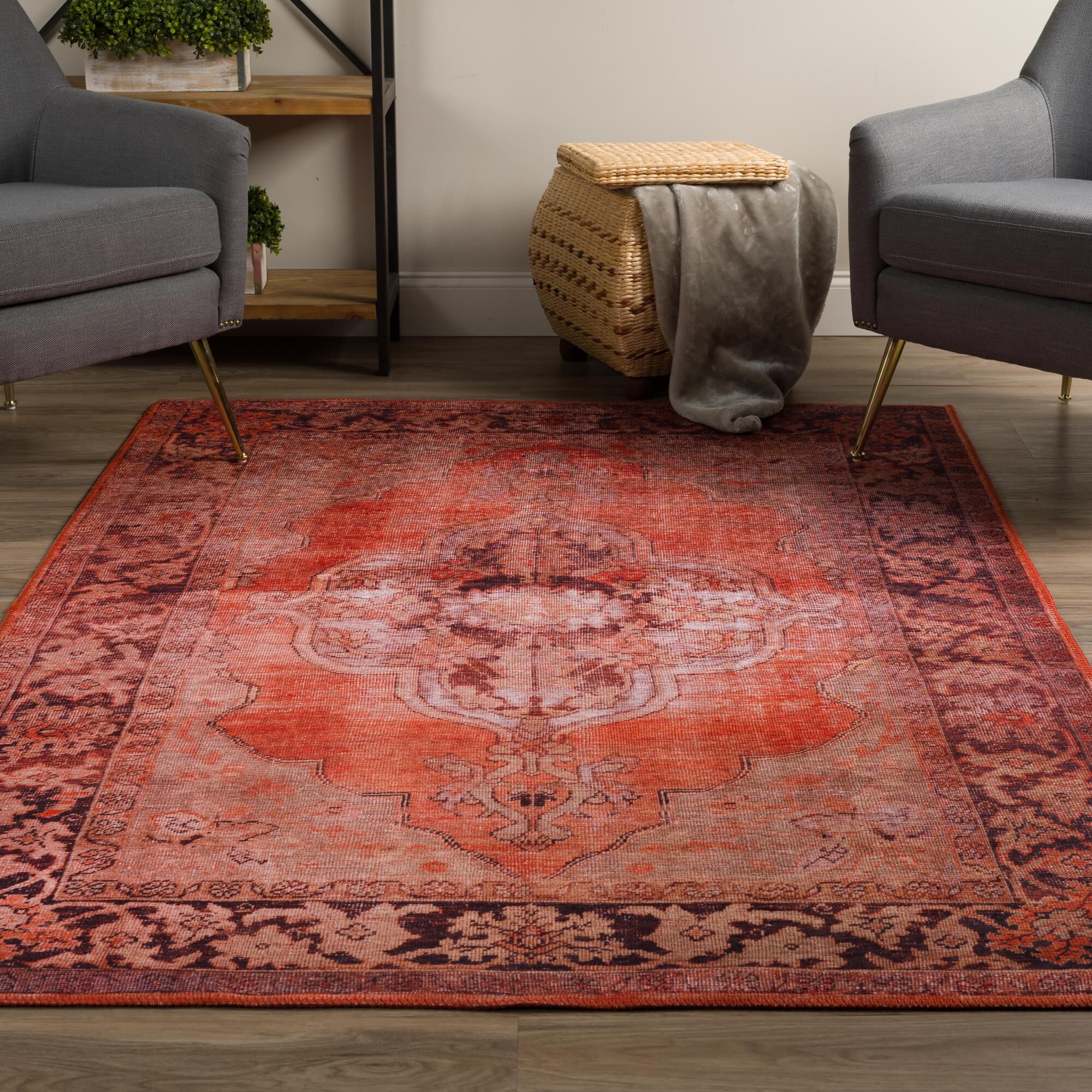 Amanti AM1 Area Rug,