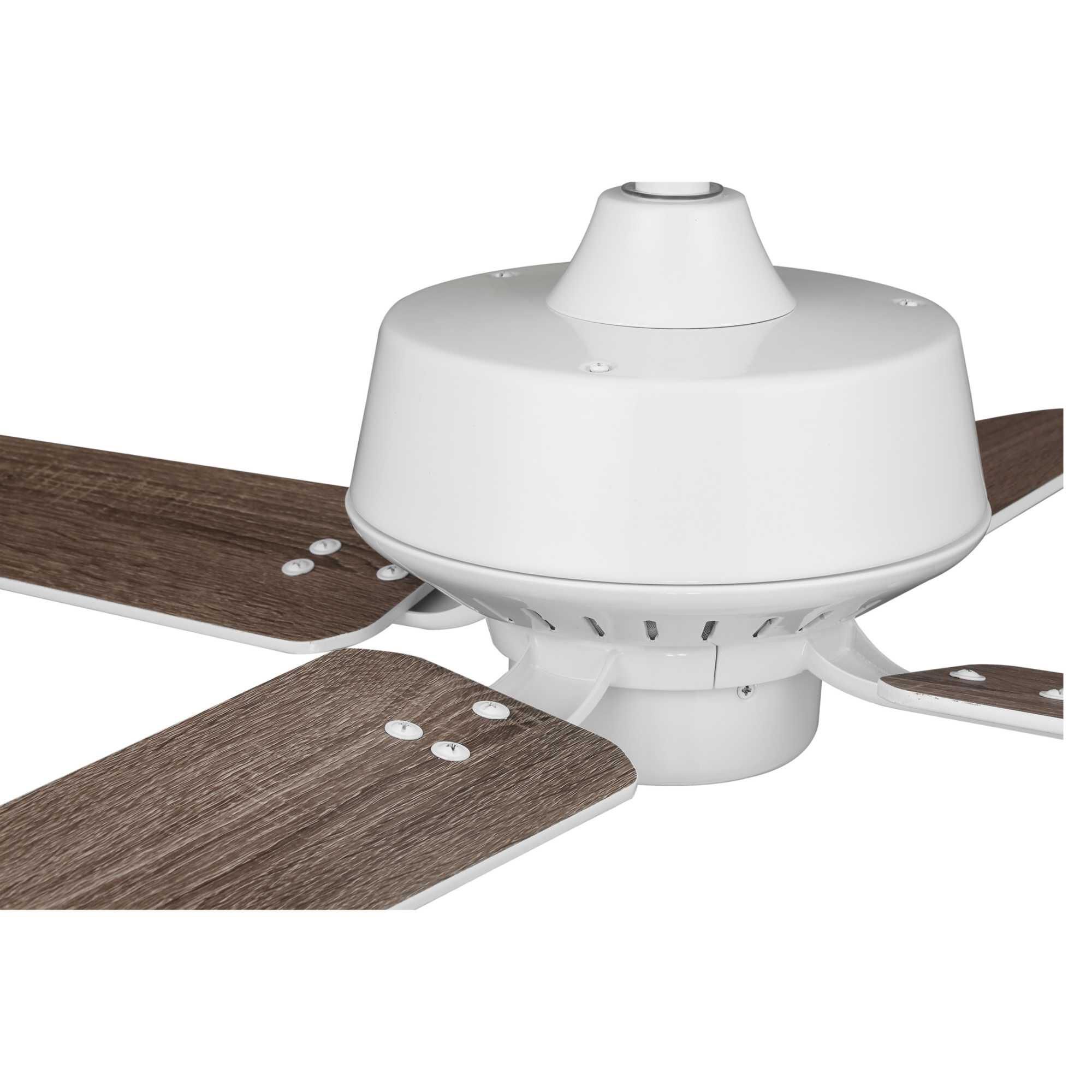 Shown in White finish and Fob Finish - Maple & Pull Chain Finish - Chrome accent