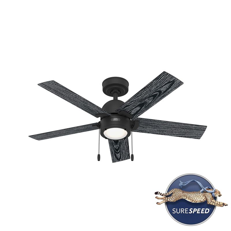 Erling 44 Inch Ceiling Fan with Light Kit by Hunter Fan