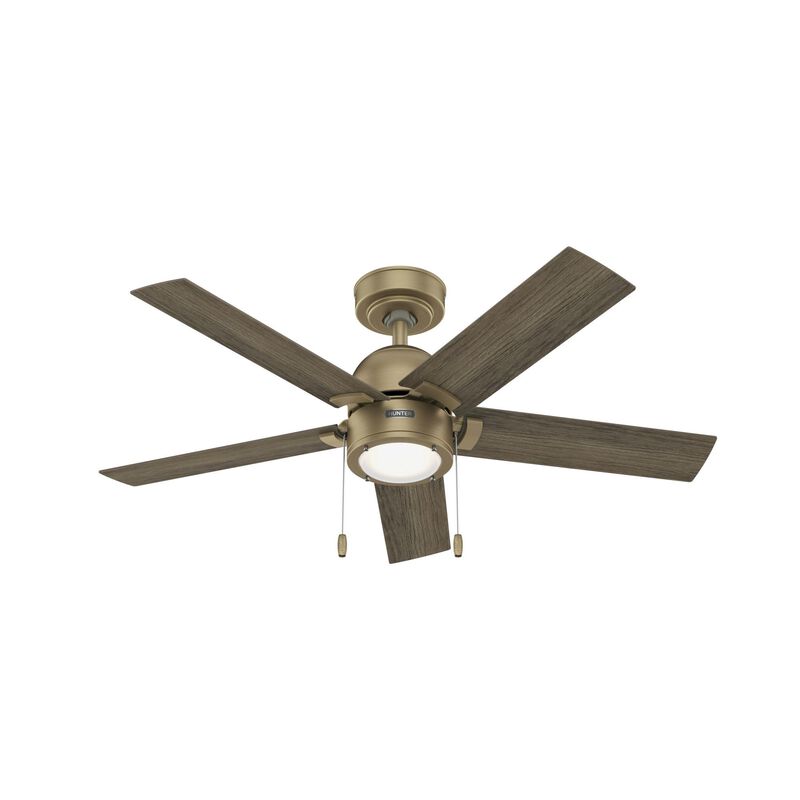 Erling 44 Inch Ceiling Fan with Light Kit by Hunter Fan