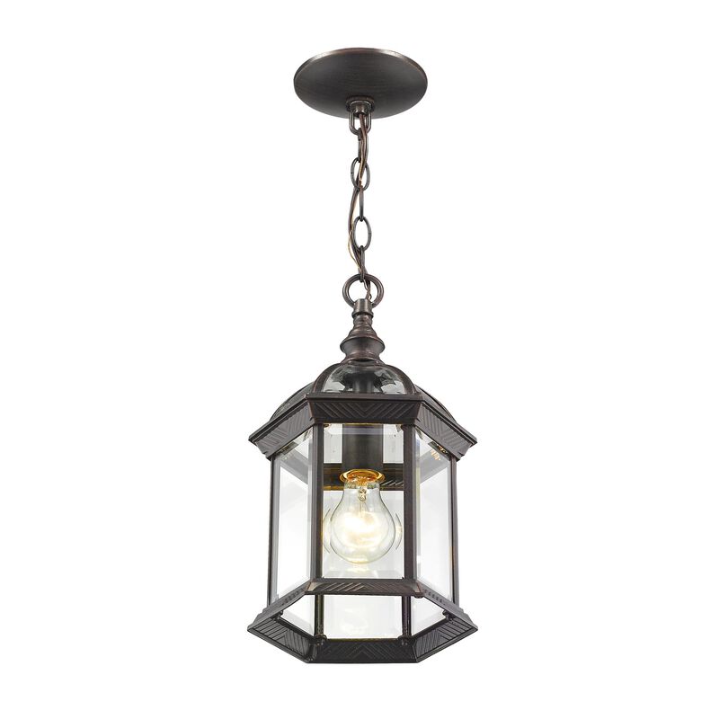 Z-Lite Annex 13 Inch Tall Outdoor Hanging Lantern