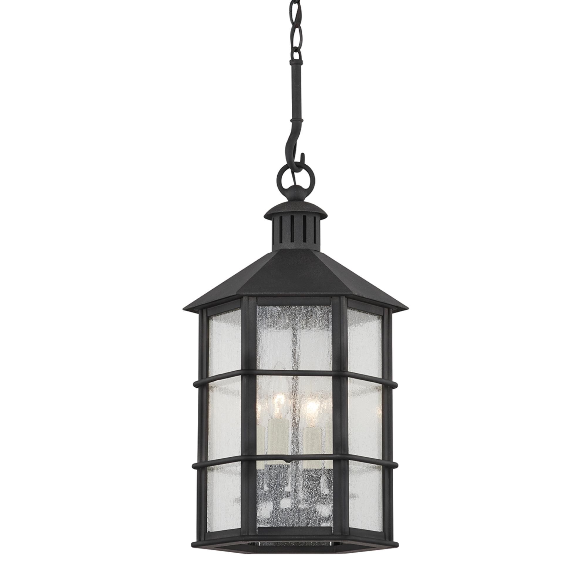 Mark D. Sikes Lake County 11.5 Inch Outdoor Hanging Lantern,