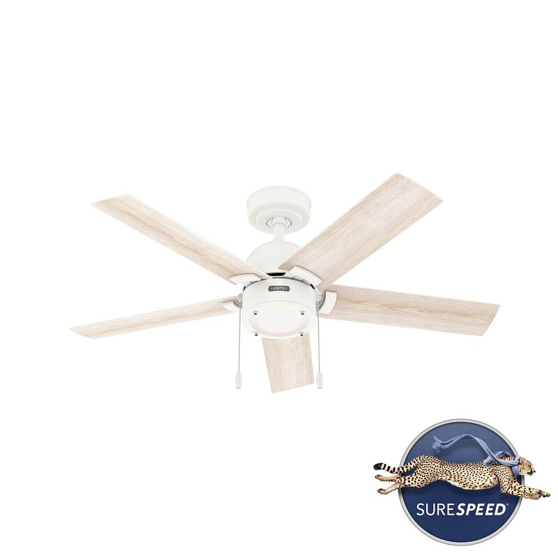 Erling 44 Inch Ceiling Fan with Light Kit by Hunter Fan