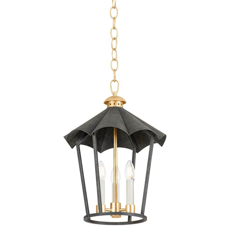 Wildomar Outdoor Hanging Lantern by Troy Lighting