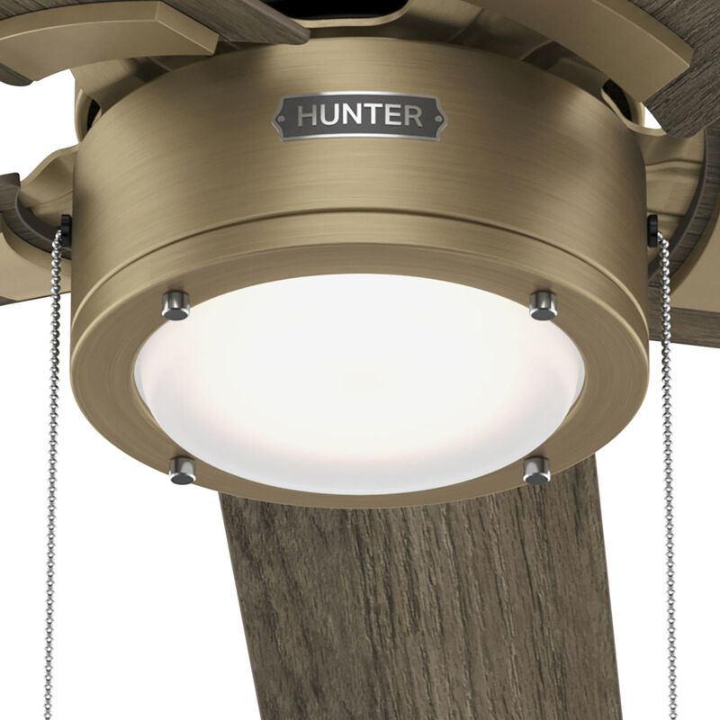 Erling 44 Inch Ceiling Fan with Light Kit by Hunter Fan