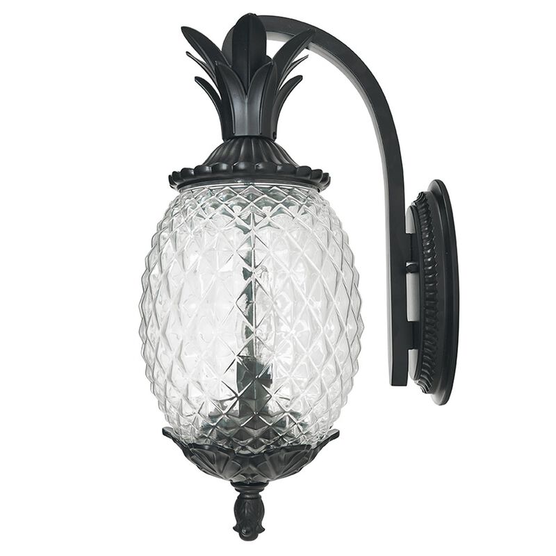 Lanai 18 Inch Tall 2 Light Outdoor Wall Light by Acclaim Lighting