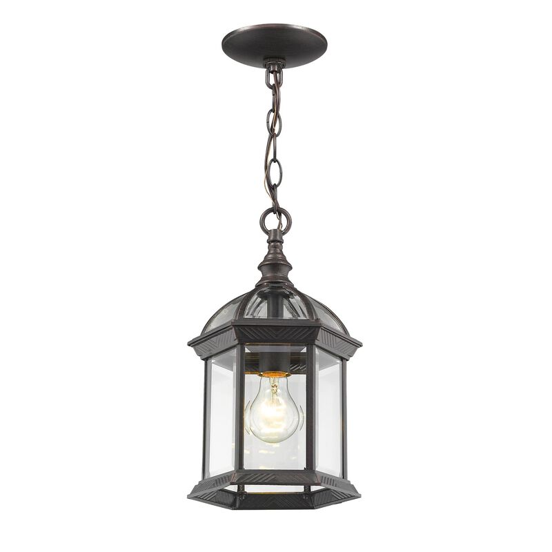 Z-Lite Annex 13 Inch Tall Outdoor Hanging Lantern