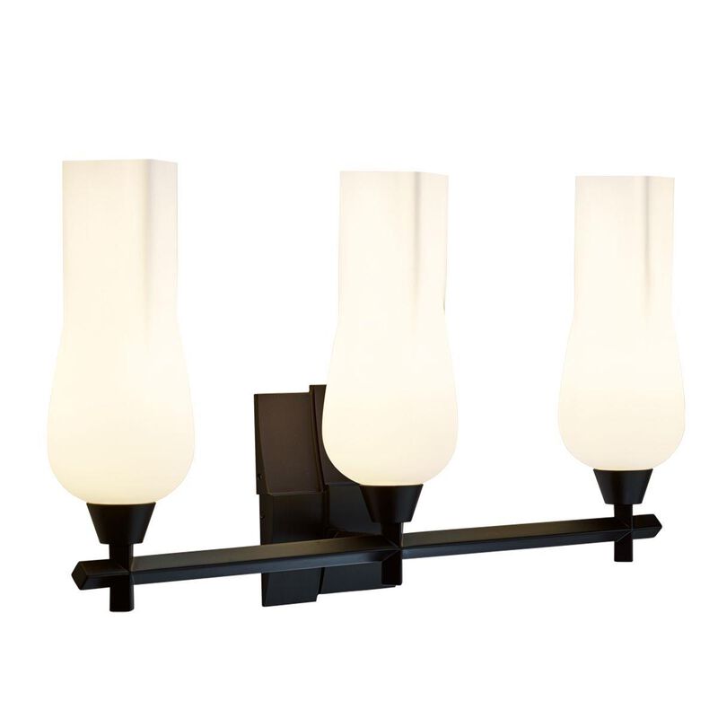 Fleur 25 Inch 3 Light Bath Vanity Light by Norwell