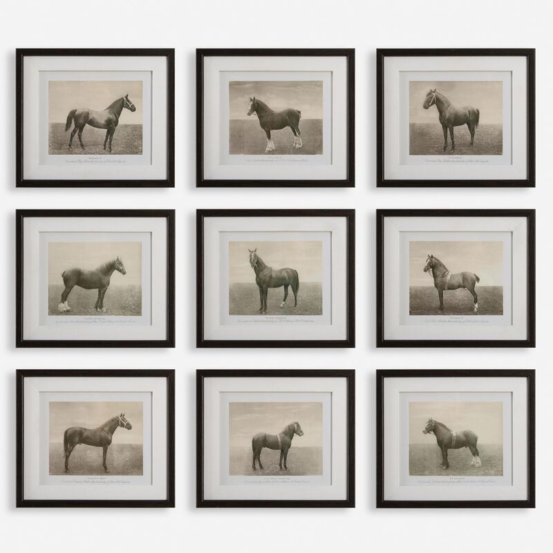 Grace Feyock Equine Dynasty Print by Uttermost