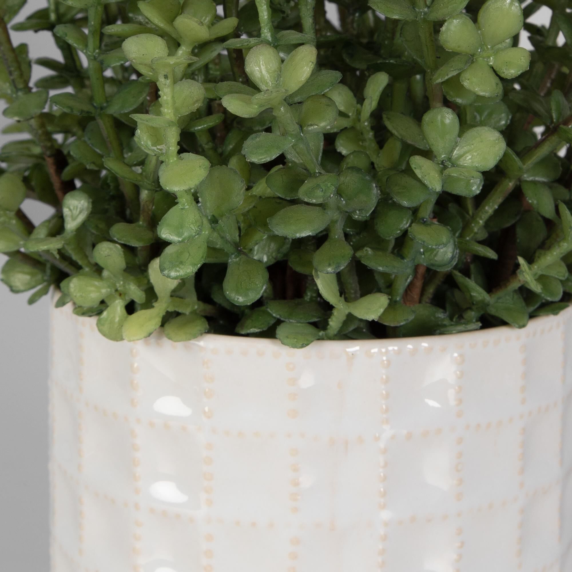 Shown in Add Interest To Any Space With This Lush Duo Of Variegated Grass And Sedum, Potted In Textured Ceram finish