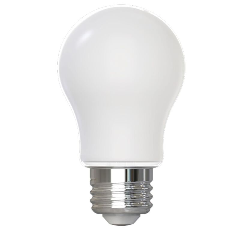 LED Light Bulb by Bulbrite