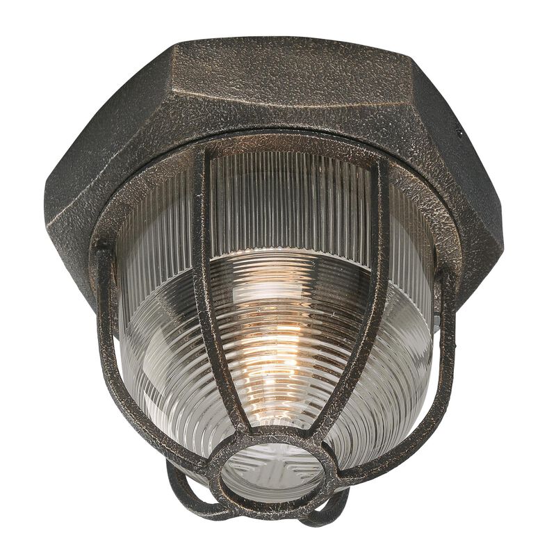 Acme 8.5 Inch Flush Mount by Troy Lighting