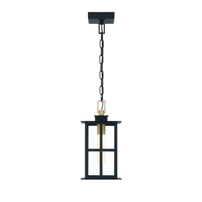 Greyson Outdoor Hanging Lantern by Eurofase Lighting