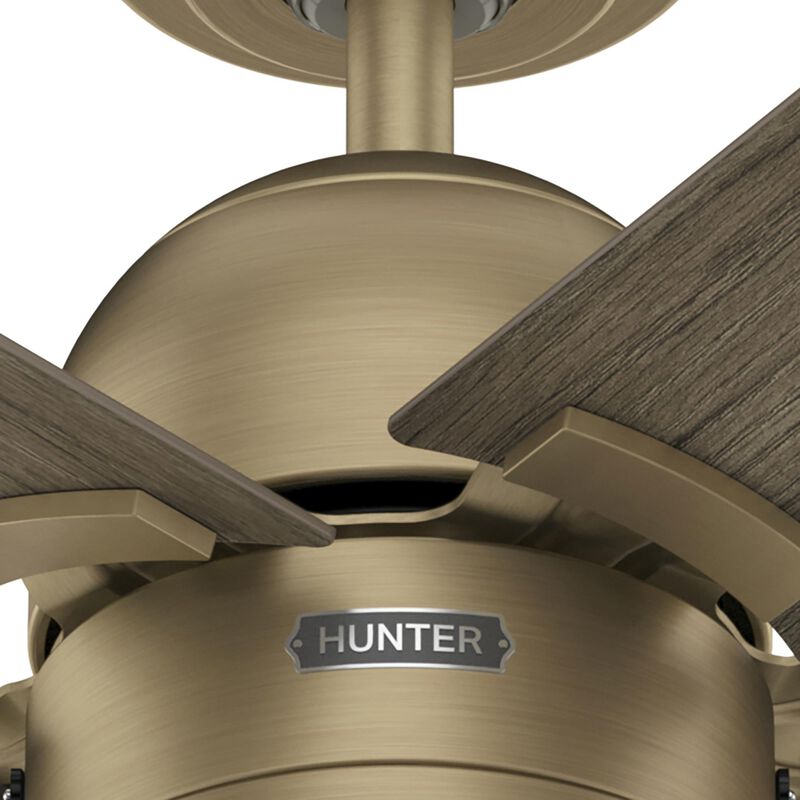 Erling 44 Inch Ceiling Fan with Light Kit by Hunter Fan