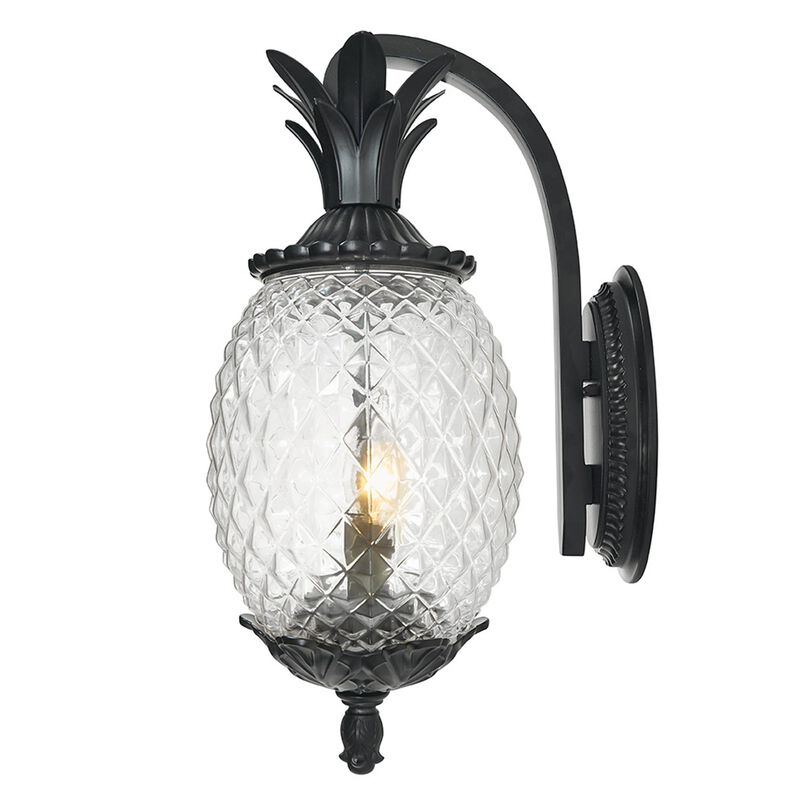 Lanai 18 Inch Tall 2 Light Outdoor Wall Light by Acclaim Lighting