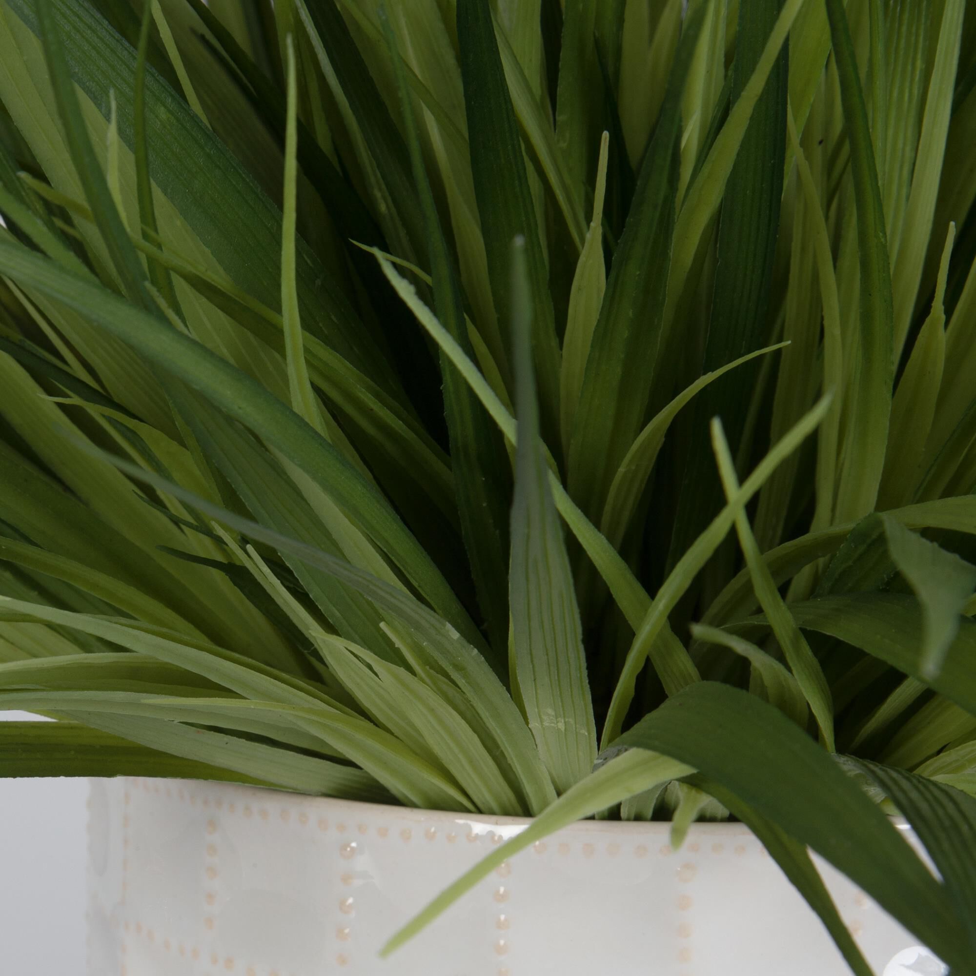 Shown in Add Interest To Any Space With This Lush Duo Of Variegated Grass And Sedum, Potted In Textured Ceram finish