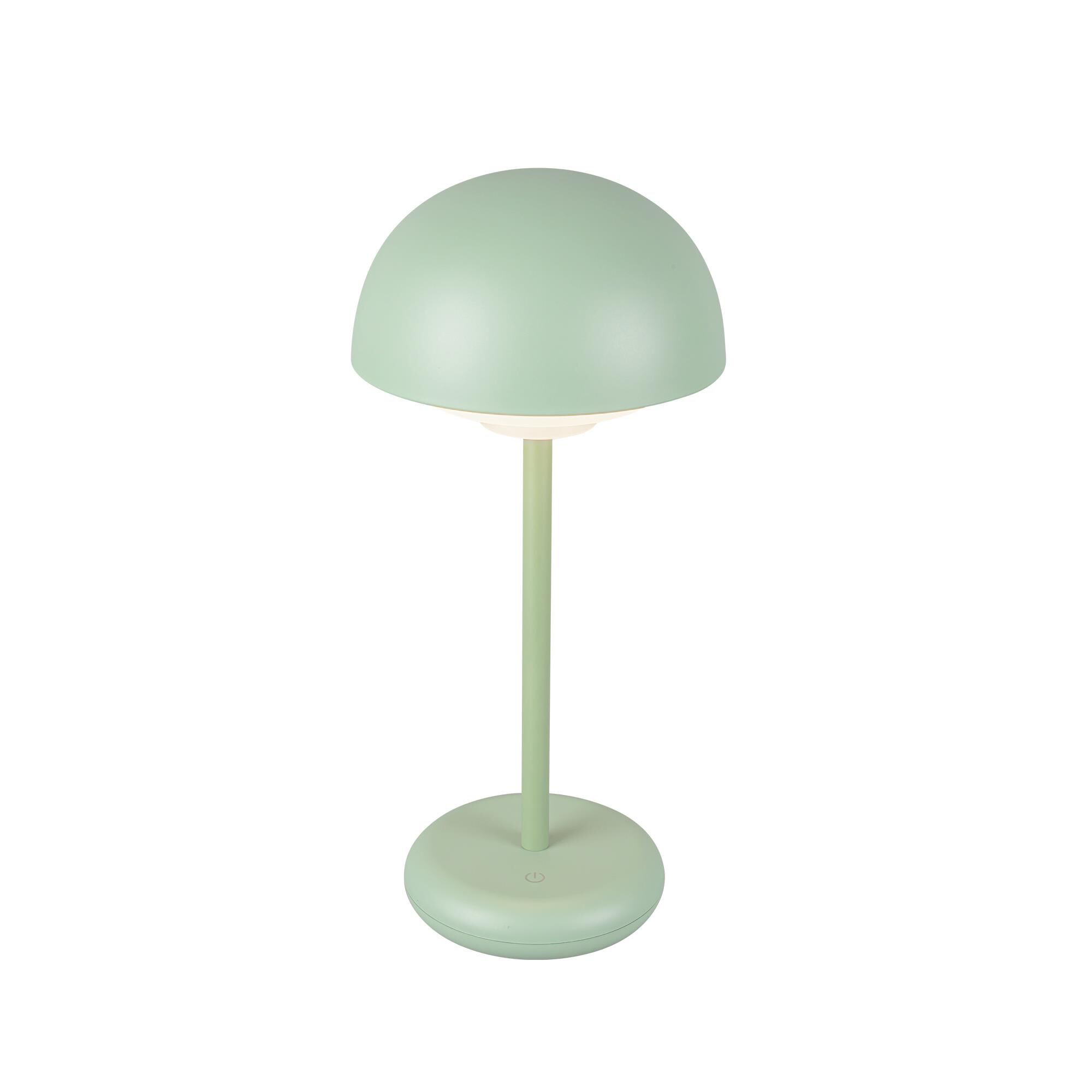 Shown in Sage Green finish and Frosted Acrylic Lens glass