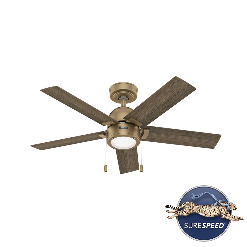 Erling 44 Inch Ceiling Fan with Light Kit by Hunter Fan