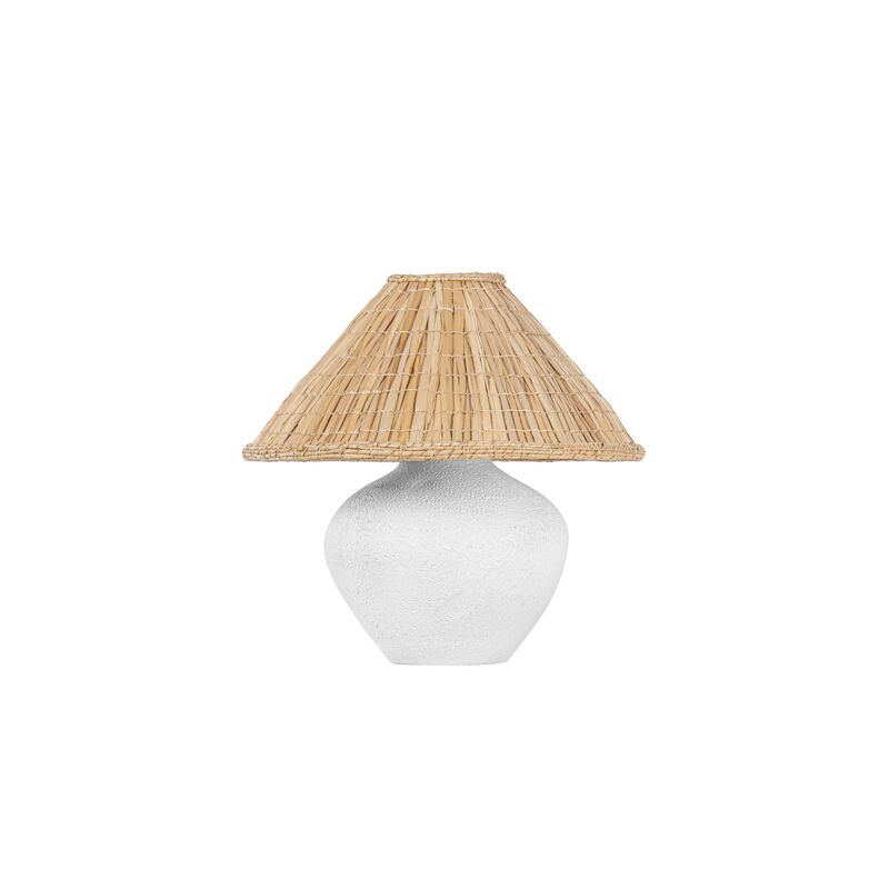 Solon 20 Inch Table Lamp by Troy Lighting