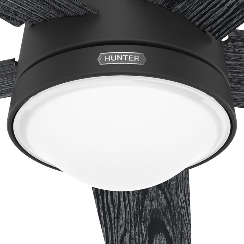 Lykke 52 Inch Ceiling Fan with Light Kit by Hunter Fan