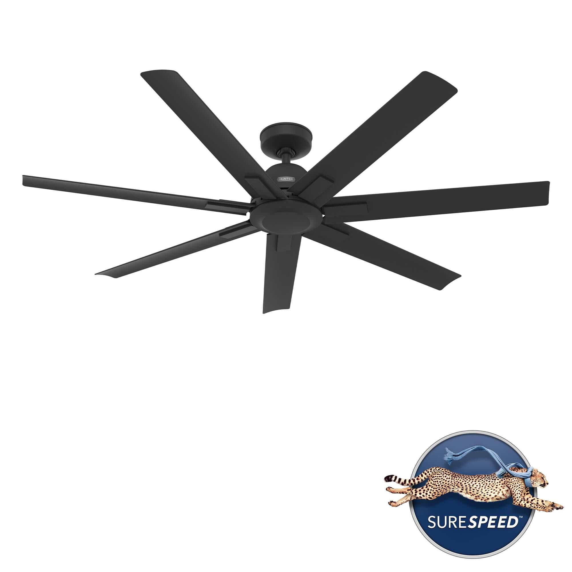 Downtown Ceiling Fan by Hunter Fan