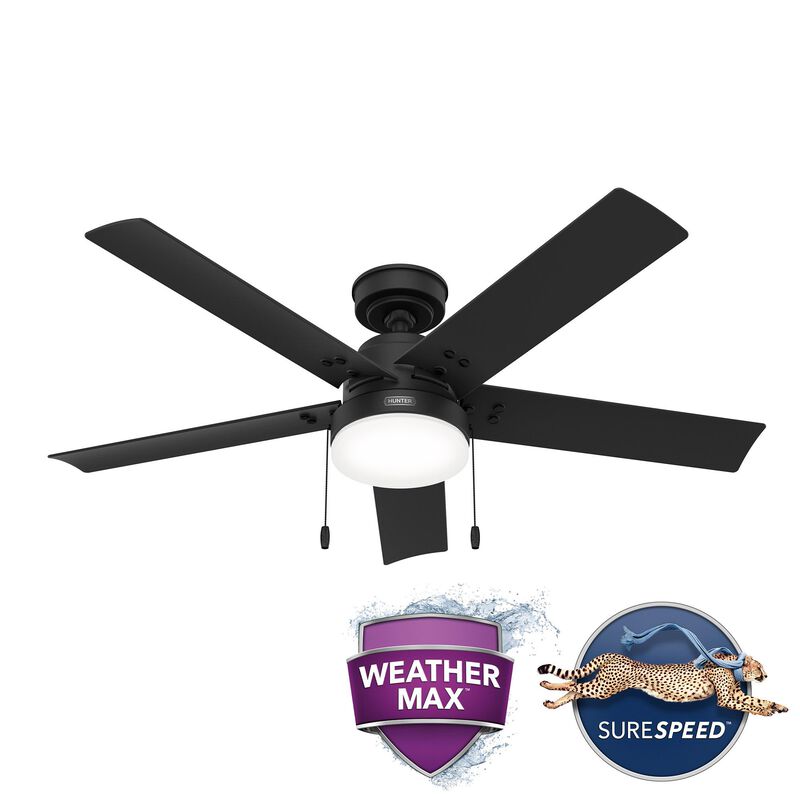 Sea Point 52 Inch Ceiling Fan with Light Kit by Hunter Fan